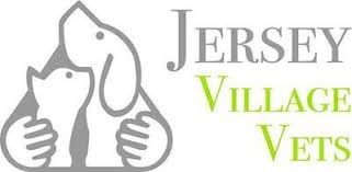Jersey Village Vets logo